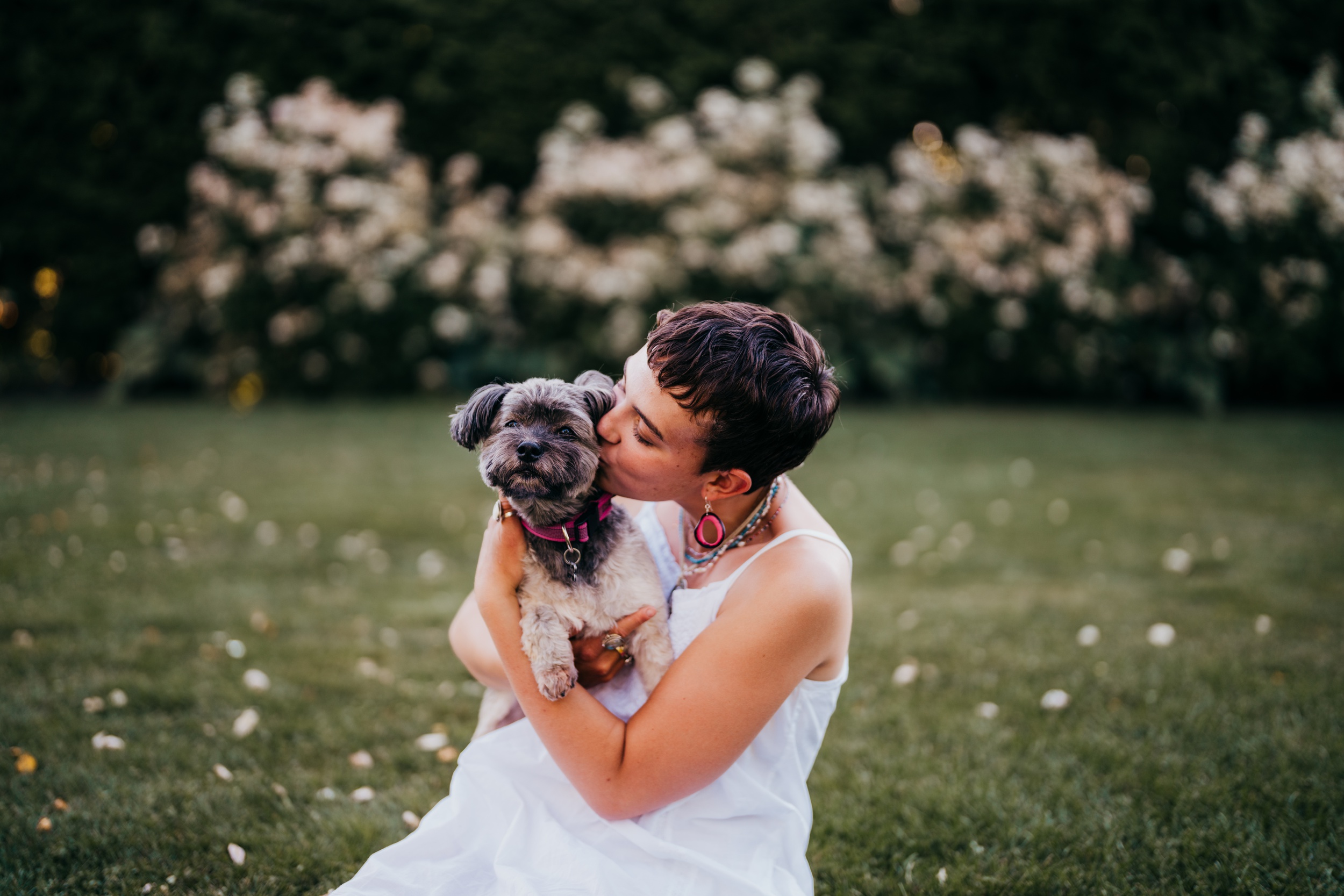 A happy Newport High School senior sits in a garden lawn kissing her small dog in a white dress