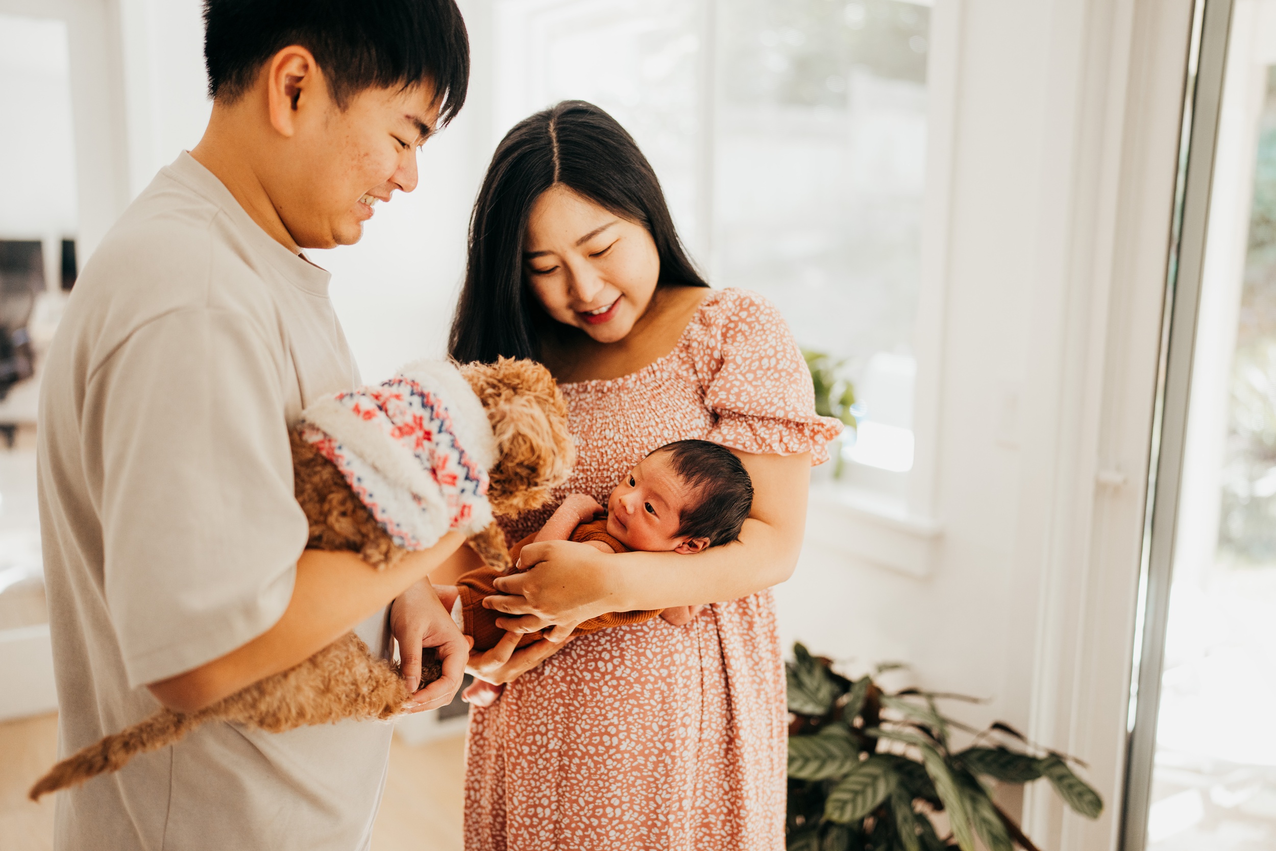 Happy new parents introduce their tiny dog in a sweater to their newborn baby in mom's arms after meeting emerald city doulas