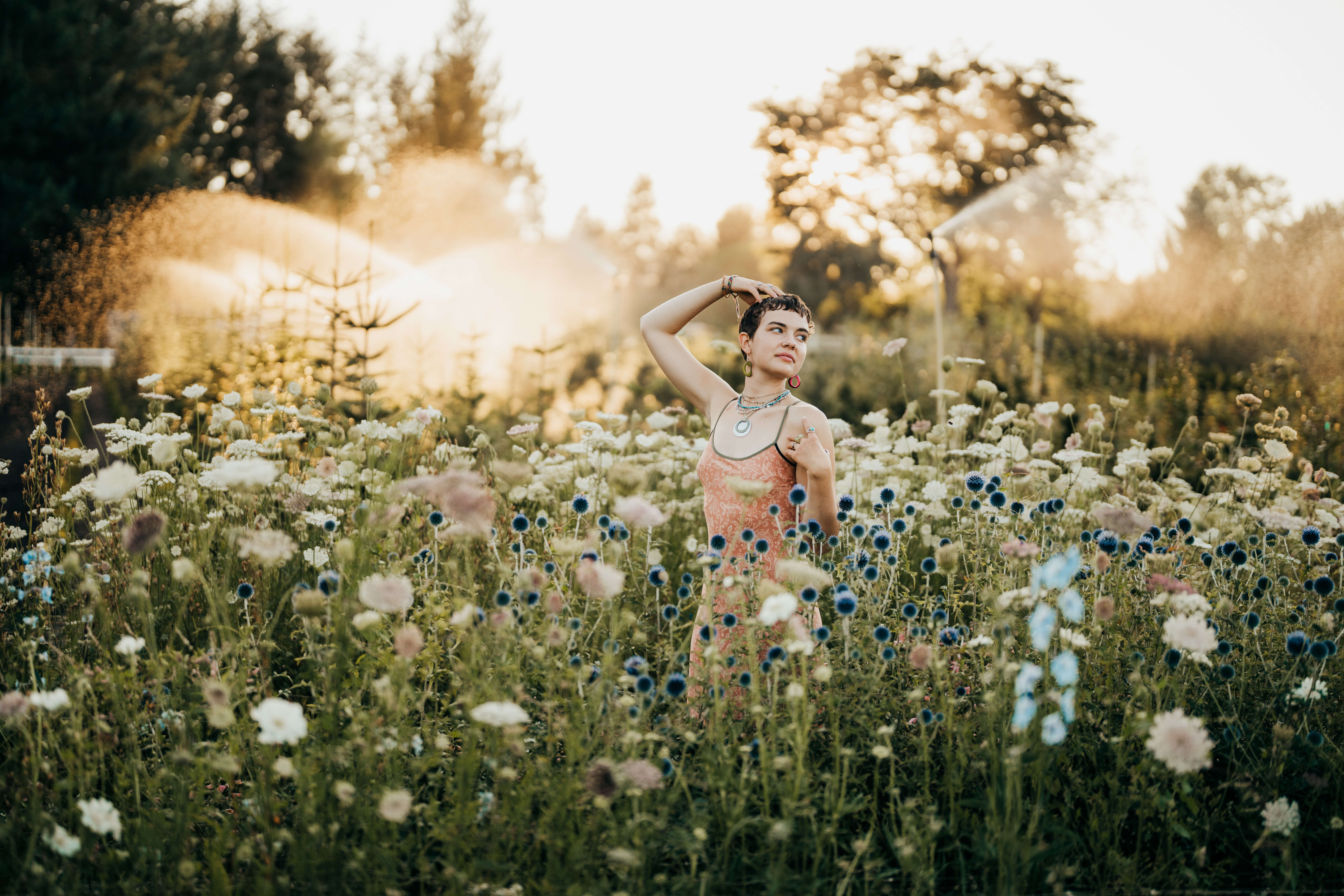A high school senior walks a field of tall wildflowers in a garden at sunset with a hand in their hair after finding College Counselors In Seattle